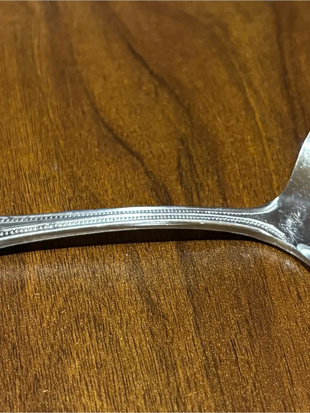 Vintage Salem 1776 stainless steel Japan satin ladle with beaded edge.